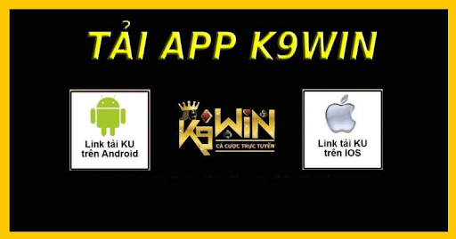 Giao diện ứng dụng K9WIN